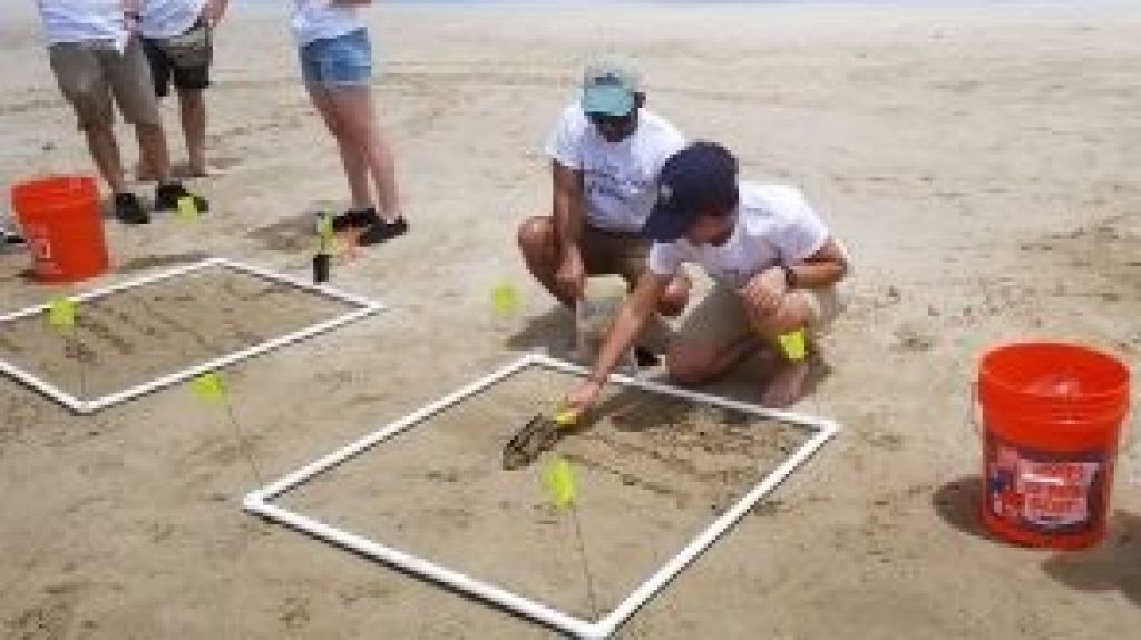  Investigar&aacute;n alcance de la contaminaci&oacute;n por micropl&aacute;sticos en 15 playas de Puerto Rico 