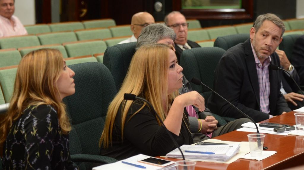  Medida busca atender la problem&aacute;tica de los animales realengos en la isla 