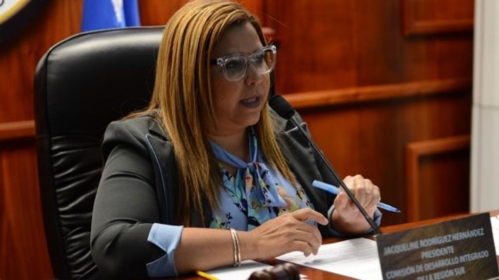  Representante dice que han legislado para atender la violencia contra las mujeres 