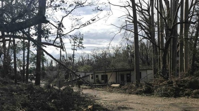 Solicitan ayuda de voluntarios para restaurar maÃ±ana el JardÃ­n BotÃ¡nico de la UPR