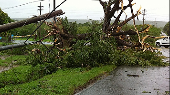 Fuertes vientos y lluvia causan caÃ­da de Ã¡rbol en carretera #2 en MayagÃ¼ez
