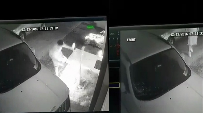 Video: Captan a hombre robando luces de Navidad en Puerto Nuevo