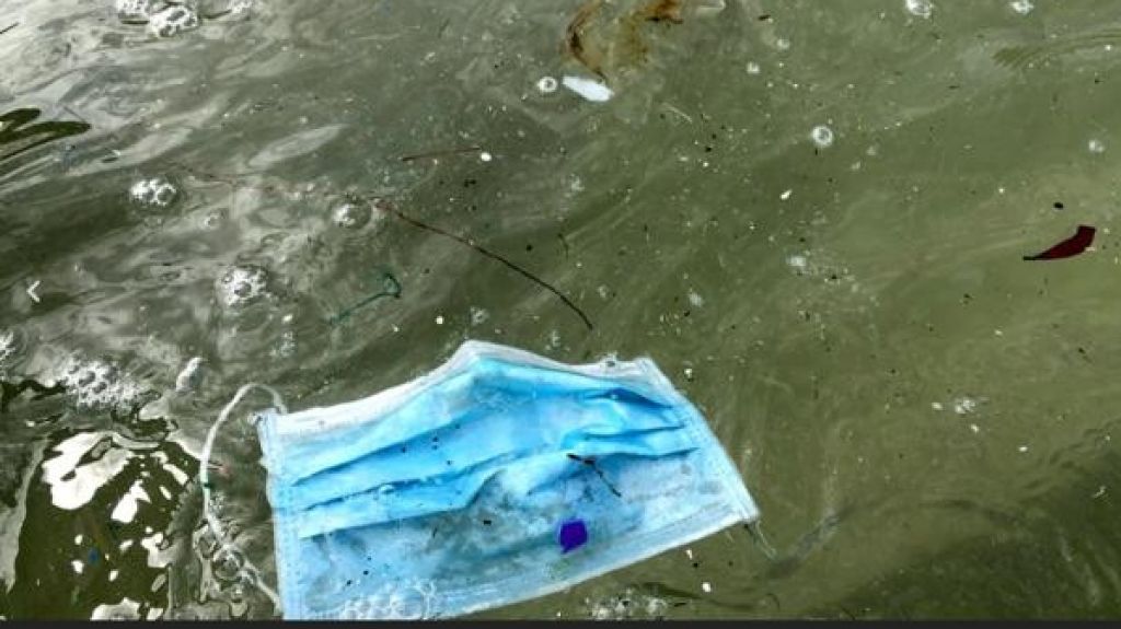  Presentan proyecto para prohibir que se desechen mascarillas y guantes en playas, r&iacute;os y cuerpos de agua 