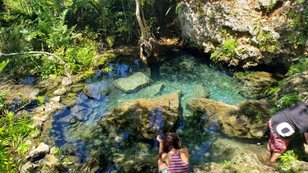  Fotos: Alertan de presencia de Caimanes en rio de Manat&iacute; 