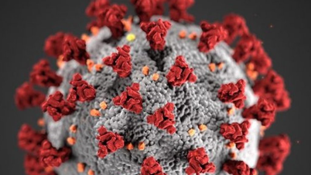  Salud reporta una muerte, 230 casos confirmados y 243 casos probables adicionales por COVID-19 en Puerto Rico 