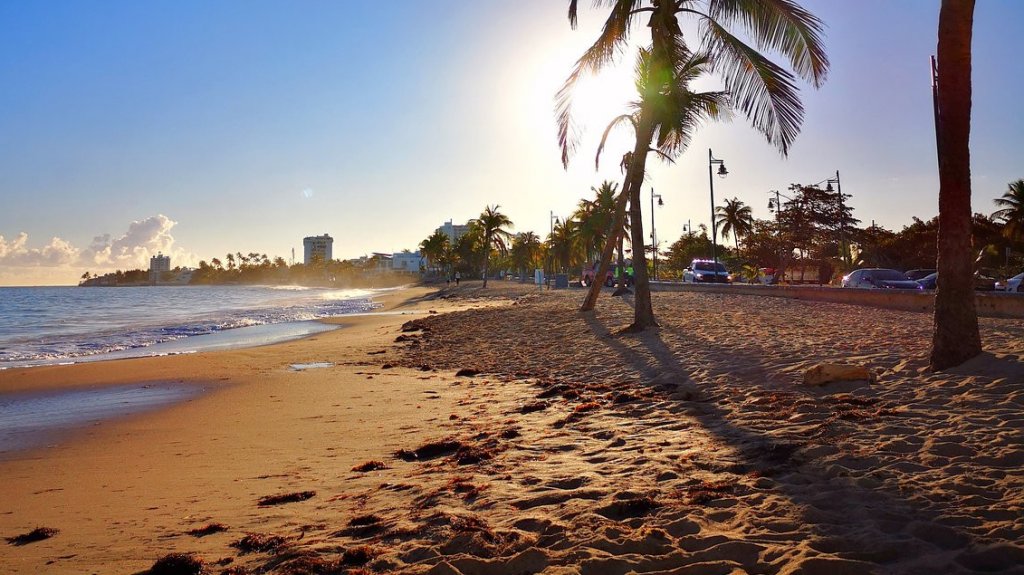  Se fue para la playa de Ocean Park, dej&oacute; un bulto en la arena, cuando volvi&oacute; no lo encontr&oacute; 