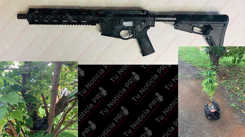  Ocupan un rifle y un tiesto con una mata de marihuana durante intervenciones en Aguadilla 