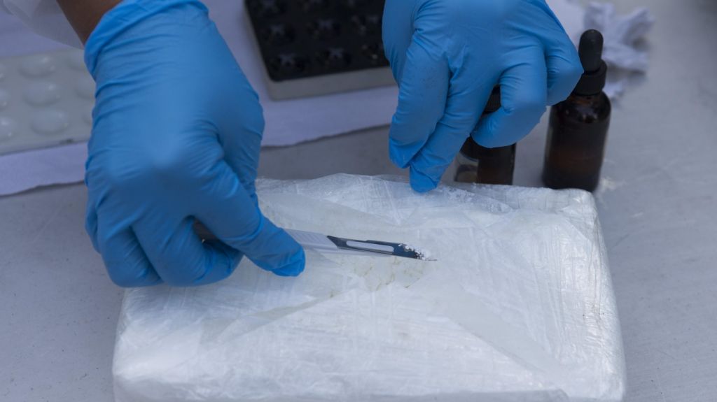  Gobierno estima que producci&oacute;n de coca&iacute;na en Per&uacute; es la m&aacute;s alta en 25 a&ntilde;os 