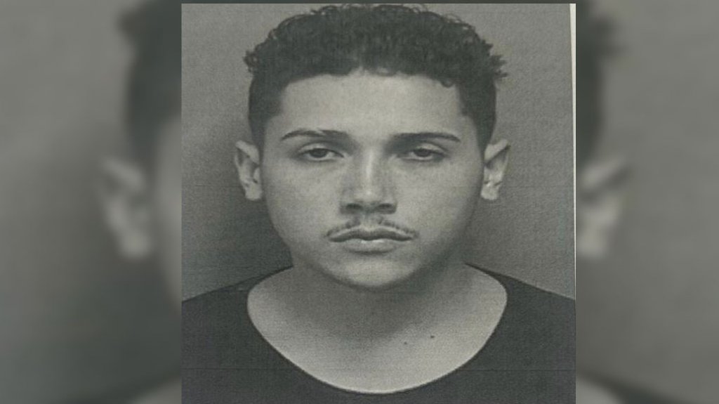  A la c&aacute;rcel joven de 20 a&ntilde;os por violencia dom&eacute;stica en Guayama 