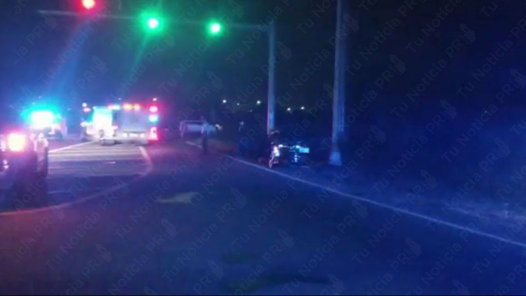  Video: Identifican conductor que muri&oacute; esta madrugada al chocar con un poste en Toa Baja 