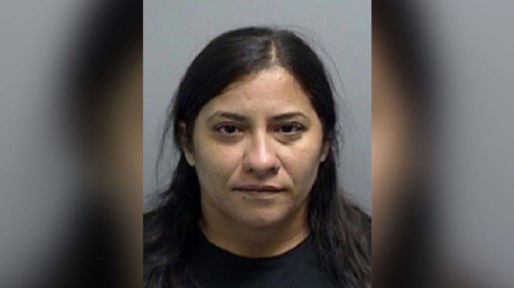  Mujer de Juana Díaz acusada tras morder y golpear con un bate a su pareja 