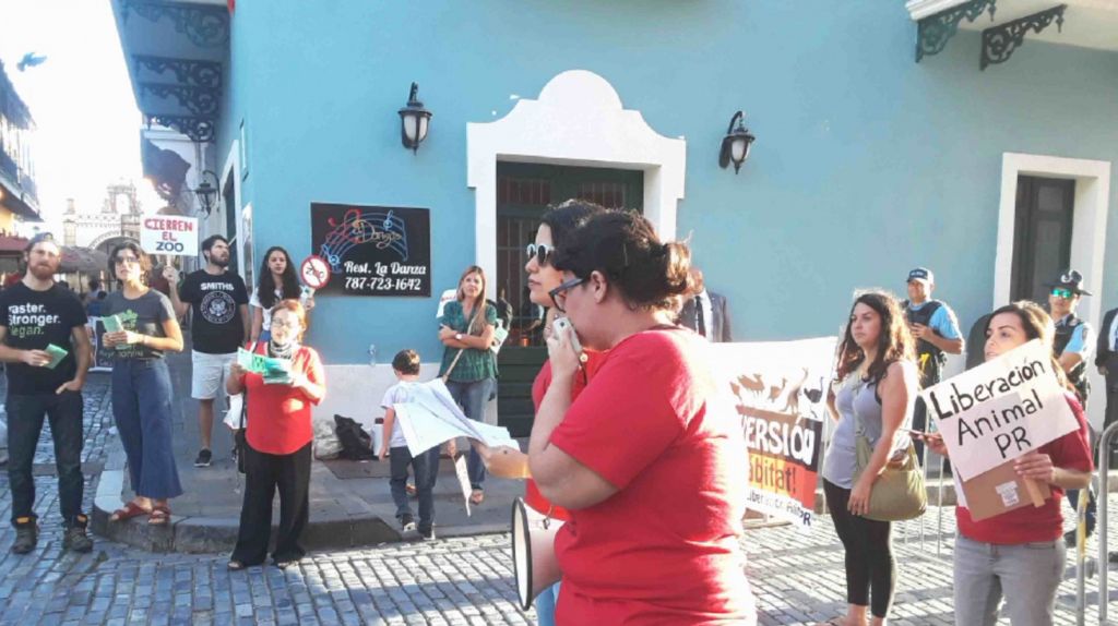  Piden la liberaci&oacute;n de los animales, manifestantes frente a La Fortaleza 