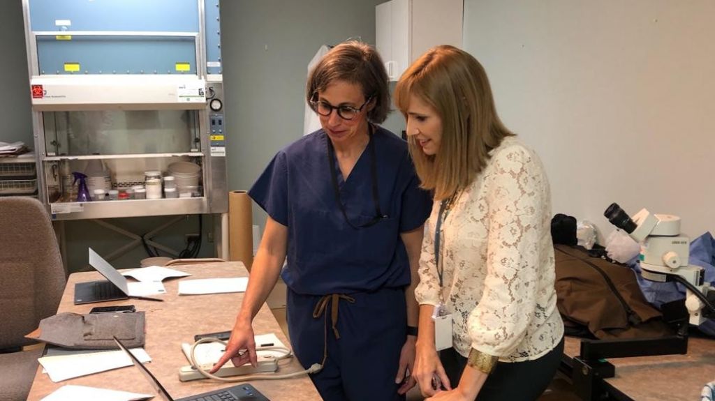  Ciencias Forensesrecibe la asistencia de pat&oacute;logosy antrop&oacute;logos de Estados Unidos 