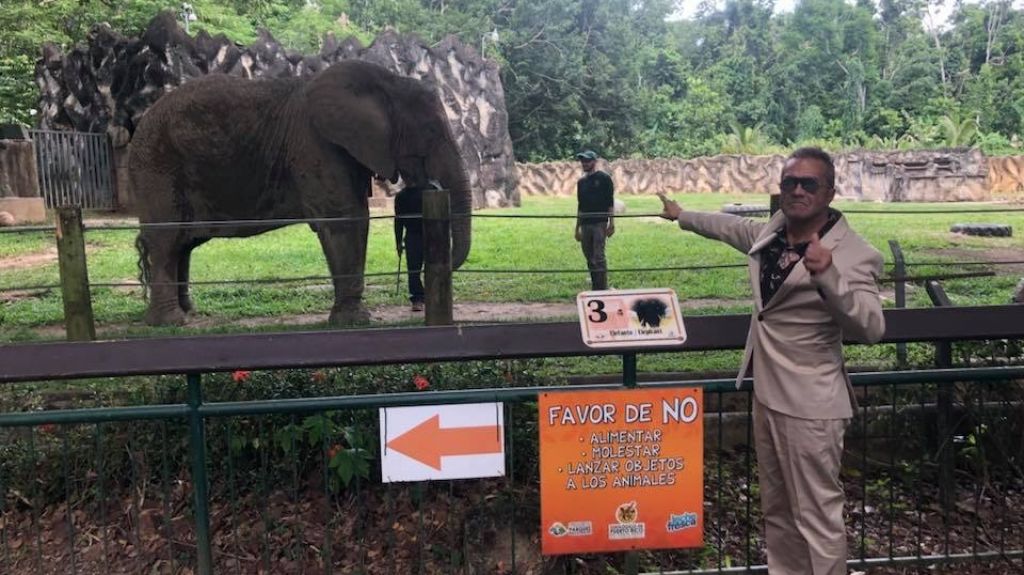  Wilkins se ofrece mediar en controversia con elefanta Mundi 