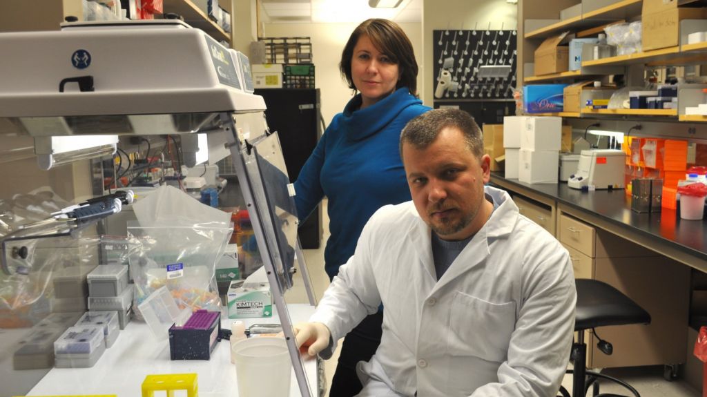  Científicos avanzan en uso de células madre para enfermedades incurables 