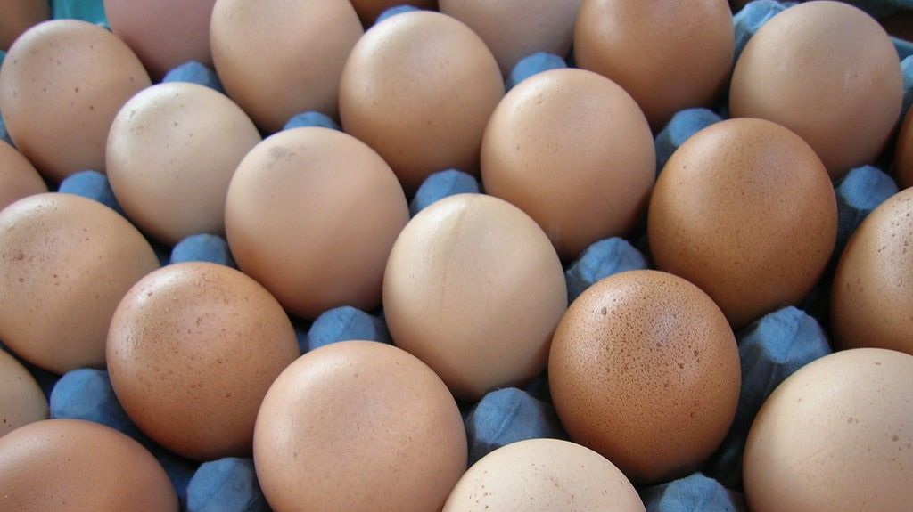  Venta a quemarropa de huevos extranjeros desplaza el huevo fresco del pa&iacute;s 
