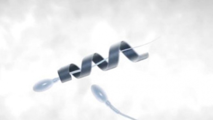 Spermbot: el dispositivo que da un empujÃ³n a los espermatozoides lentos