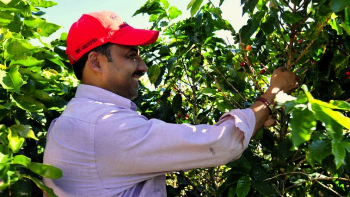 Senador RuÃ­z Nieves insiste en revisiÃ³n de arancel sobre cafÃ© extranjero