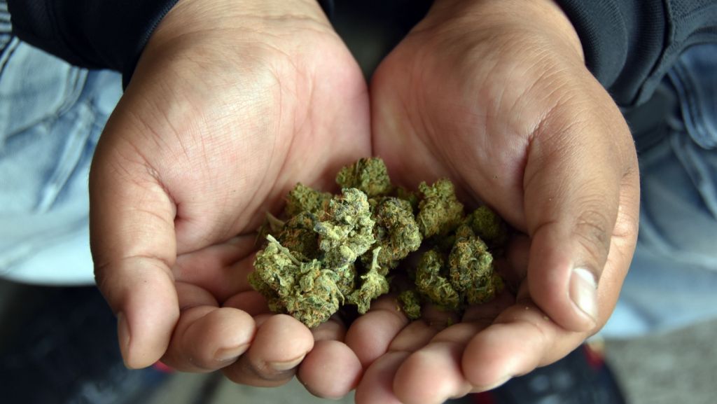  Polic&iacute;a canadiense detiene a conductor bajo la influencia de la marihuana 