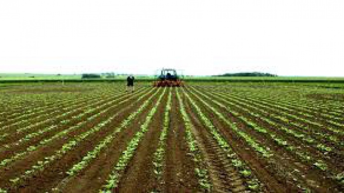 140mil cuerdas para agricultura