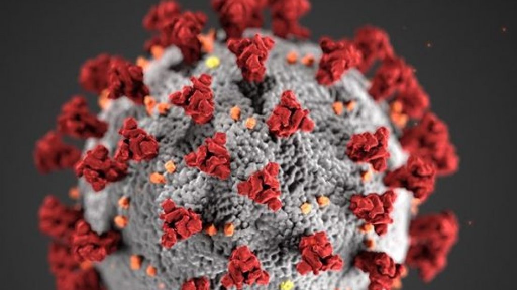  Municipio de Rinc&oacute;n aprueba medidas contra el COVID-19 