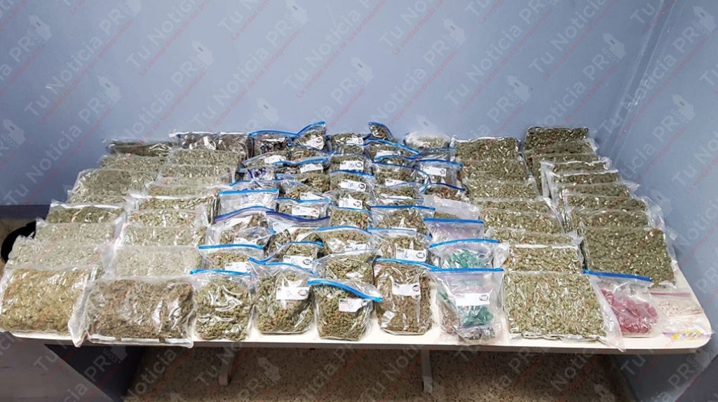  Fotos: Descuadran el &ldquo;Punto&rdquo; de las Monjas en Hato Rey, polic&iacute;a ocupa 54 libras de marihuana 