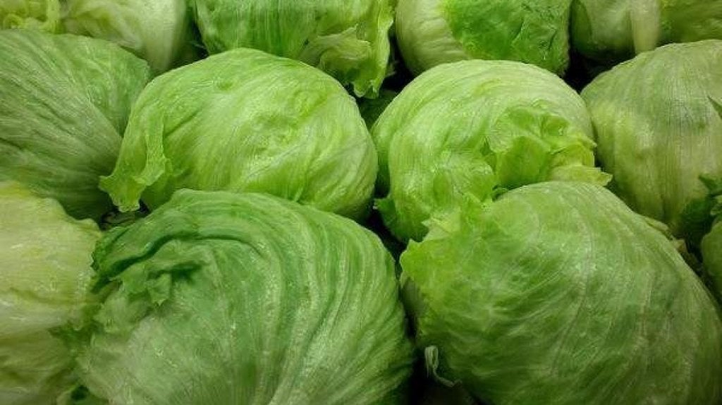  Retiran lechuga iceberg distribuida en 27 estados por posible v&iacute;nculo con brote de enfermedad intestinal 