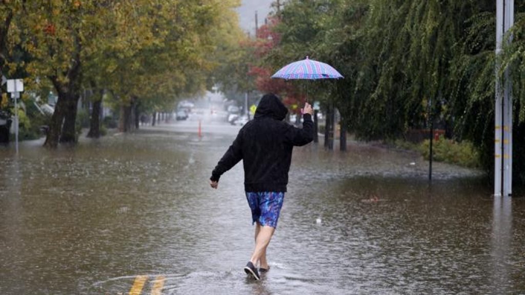  Decenas de miles sin electricidad en Washington y Oreg&oacute;n; 2 muertos por &aacute;rbol 