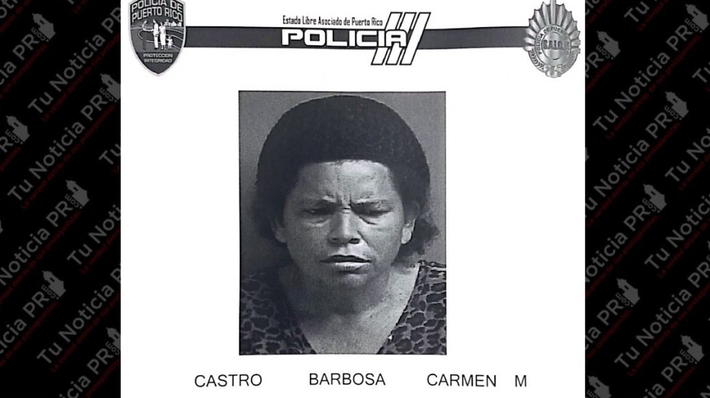  Arrestan a mujer que amenaz&oacute; con machete a Polic&iacute;as 