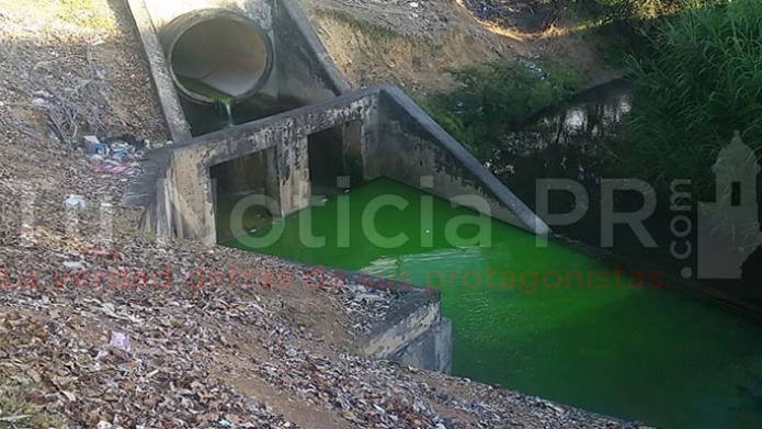 Emergencia ambiental en Carolina