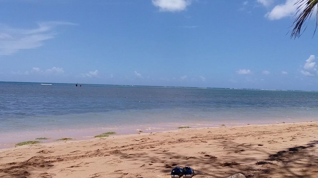  Identifican a turista estadounidense ahogada en playa de un hotel en R&iacute;o Grande 