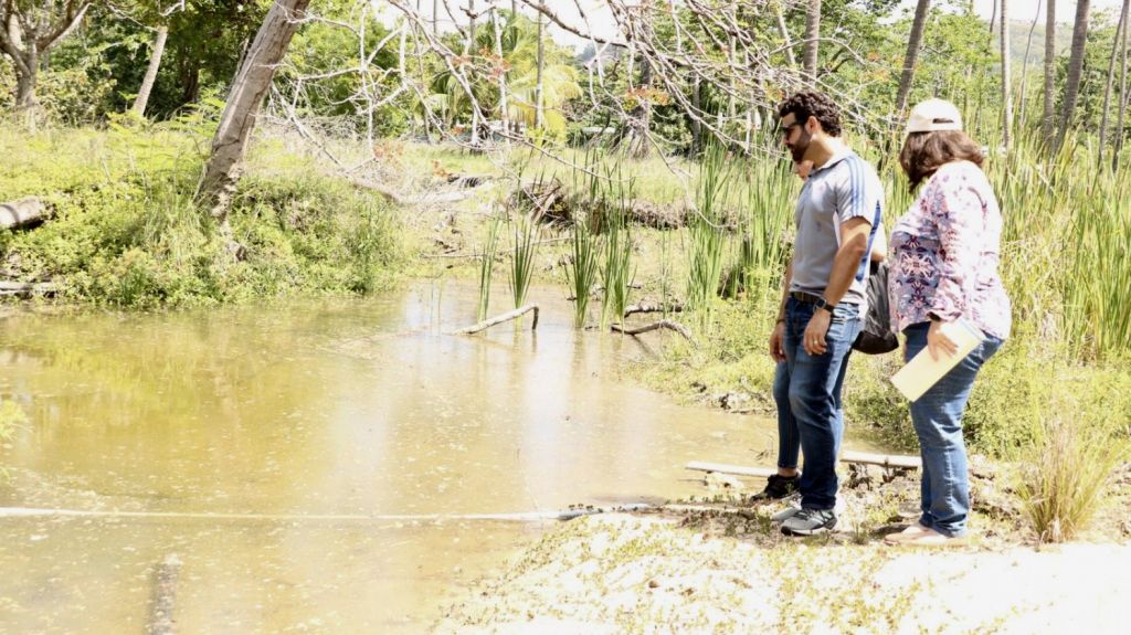  Representante exige cuentas sobre situaci&oacute;n con el balneario de A&ntilde;asco 