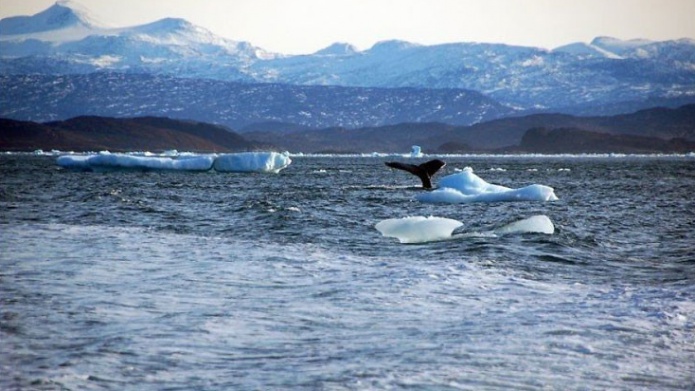 "Alto peligro": Nivel del mar podrÃ­a aumentar mÃ¡s de tres metros en medio siglo