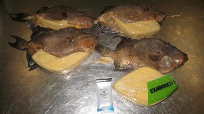 Se hace comÃºn envÃ­o de cocaÃ­na dentro de fruta, legumbres y pescado