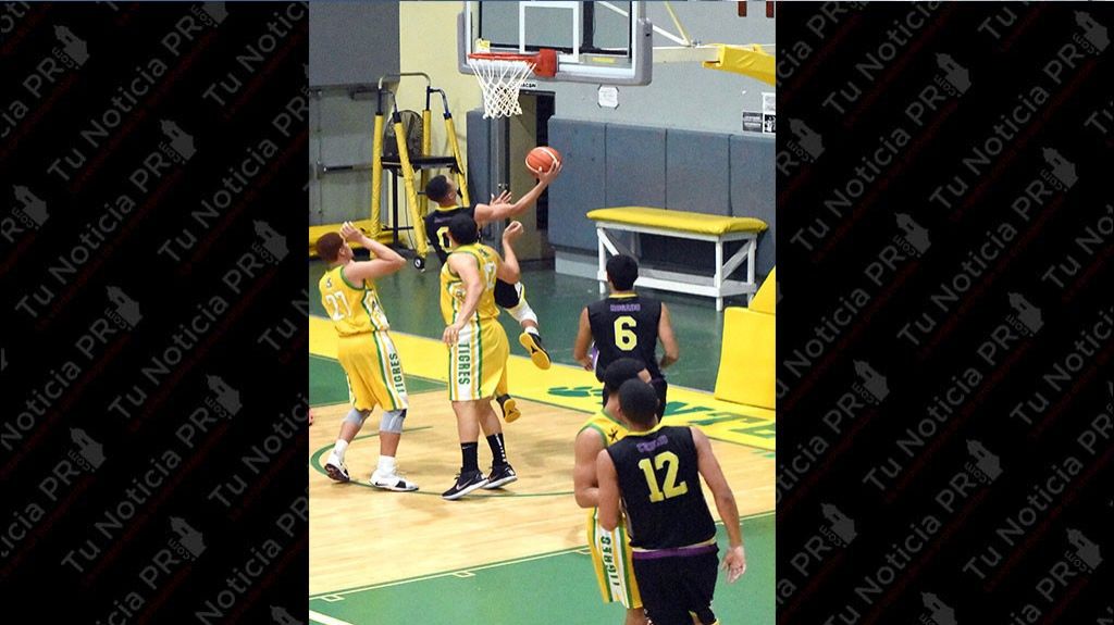  Halcones siguen en victoria en el baloncesto universitario 