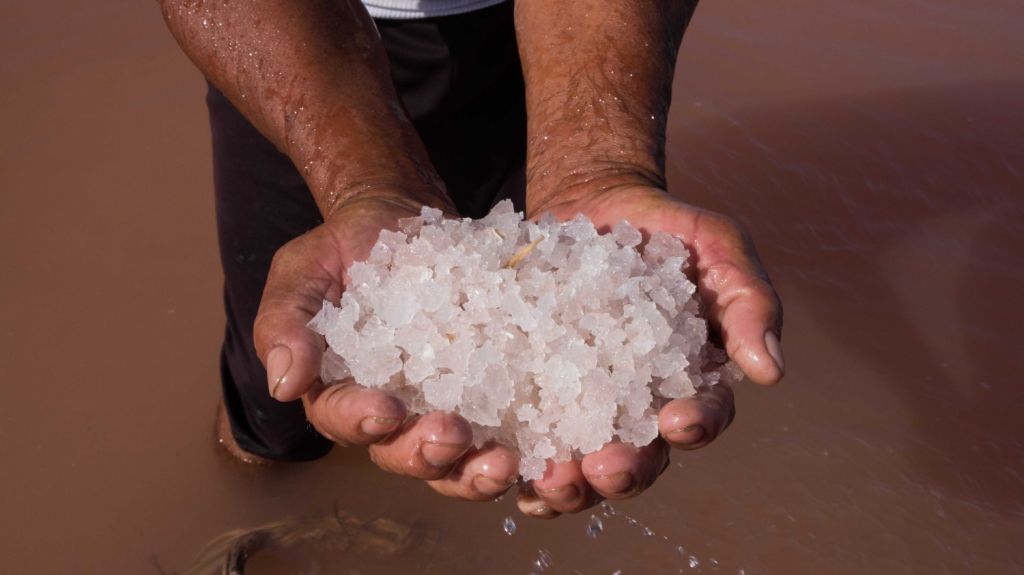  Los mayas usaban la sal como moneda de intercambio 