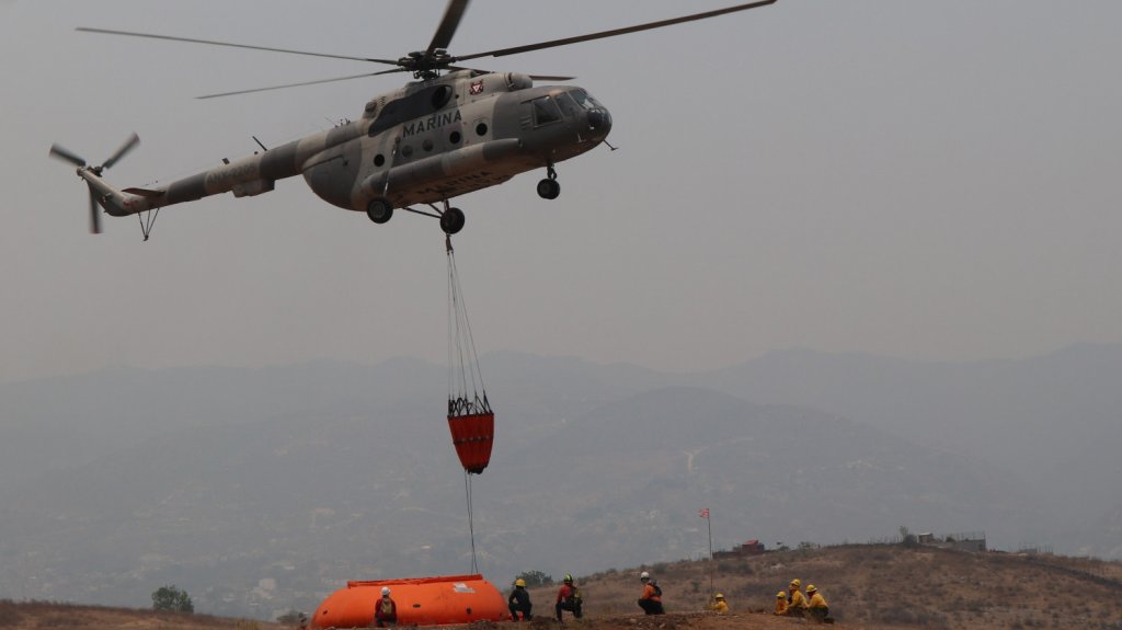  M&eacute;xico reporta 55 incendios forestales activos que afectan a 30.454 hect&aacute;reas 