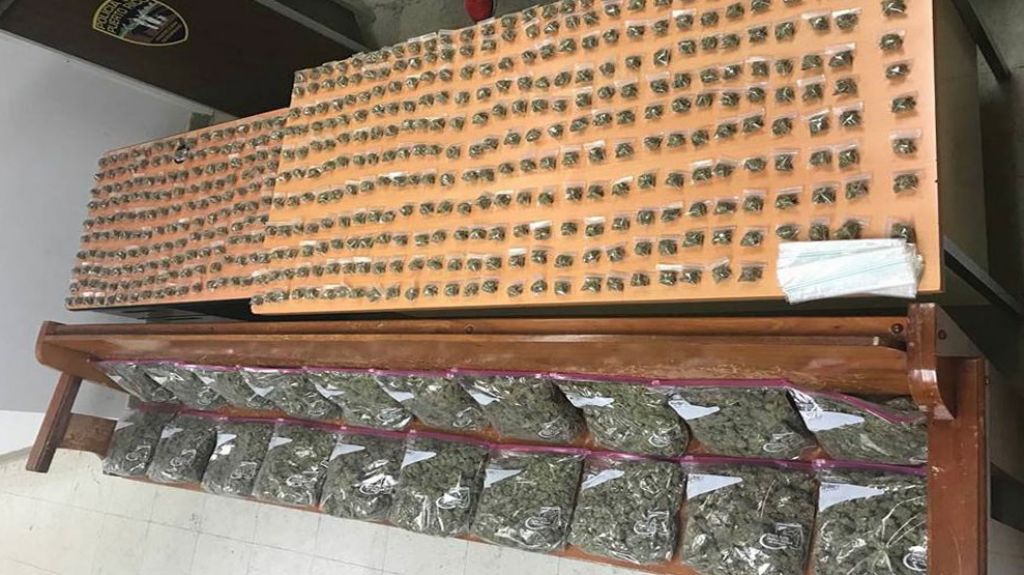  Arrestos, multas y marihuana “como loco” durante intervenciones en negocios en Arecibo, Barceloneta, Morovis y Ciales 