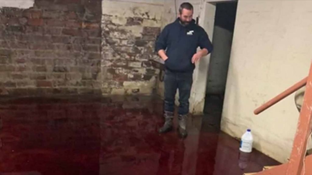  &iexcl;Aterrador! Hombre descubre el s&oacute;tano de su casa inundado con sangre 