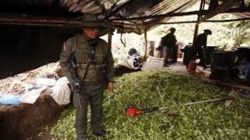  Vea video: Autoridades colombianas decomisan 4,7 toneladas de coca&iacute;na en 11 departamentos 