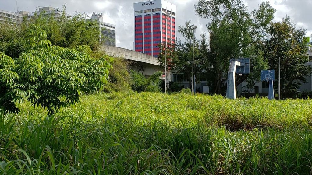  Reclaman acci&oacute;n ante abandono de parque de la Roosevelt en San Juan 