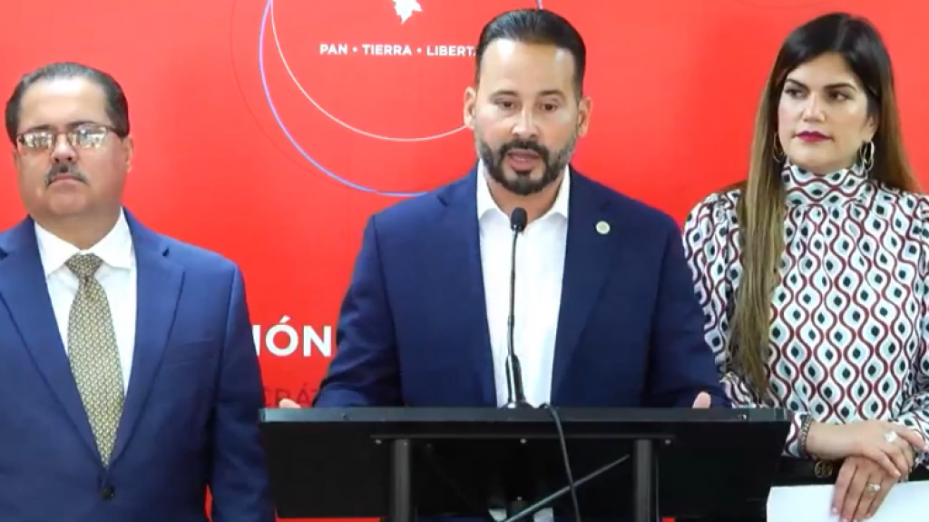  PPD iniciar&aacute; consultas para enmendar su reglamento 