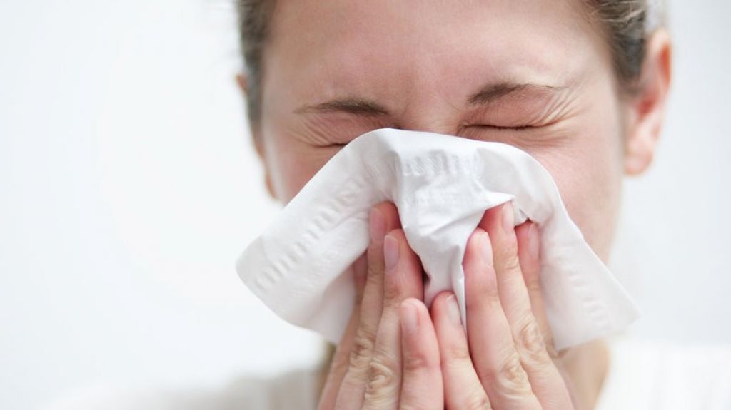  Cumbre de alergistas se enfocar&aacute; en inmunolog&iacute;a y tratamientos individualizados ante aumento y complejidad de alergias 