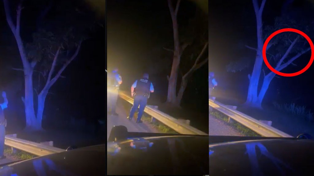  Video: Polic&iacute;as estatales evitan que joven se privara de la vida 