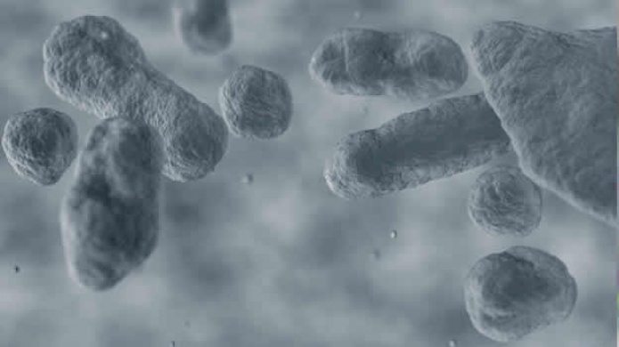 Antes que el Ã©bola, la gripe espaÃ±ola matÃ³ a millones en 1918