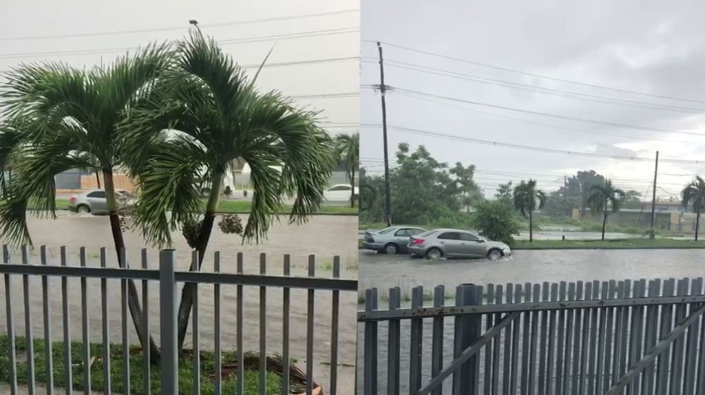  Video: Acabamos de advertir que la 65 esta como piscina y ya se qued&oacute; el primero 