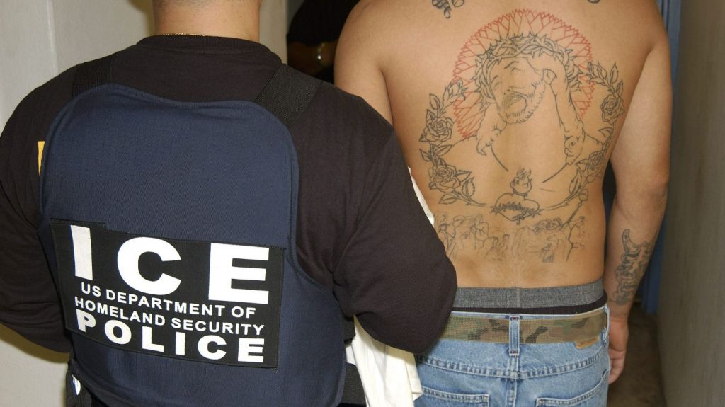  Imputan delitos criminales a 24 pandilleros MS-13 en Maryland 