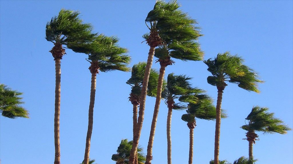  Resumen del Estado del Tiempo para Puerto Rico 