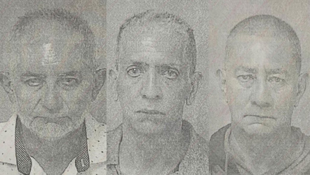 Fichados tres hermanos de Maunabo que cogieron a una perrita &ldquo;la guindaron&rdquo; con una soga y luego la desaparecieron 