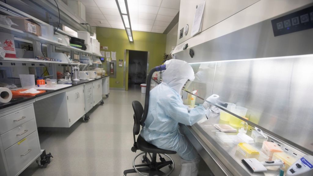  Confirman el primer caso de coronavirus en Emiratos &Aacute;rabes 